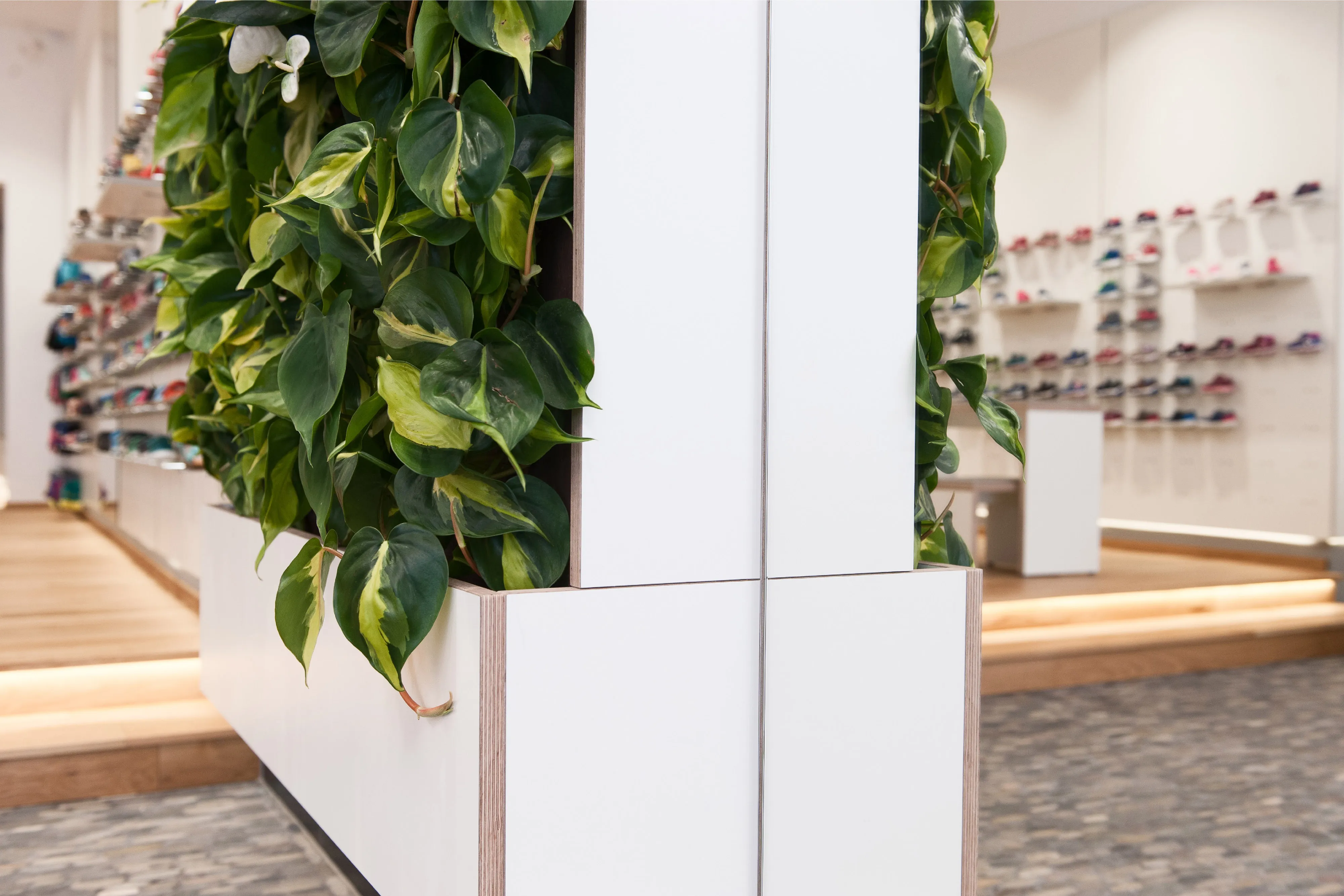 Kantenverarbeitung des Raumteilers mit integriertem Pflanzkübel am Übergang zwischen Kiesel- und Holzfußboden.