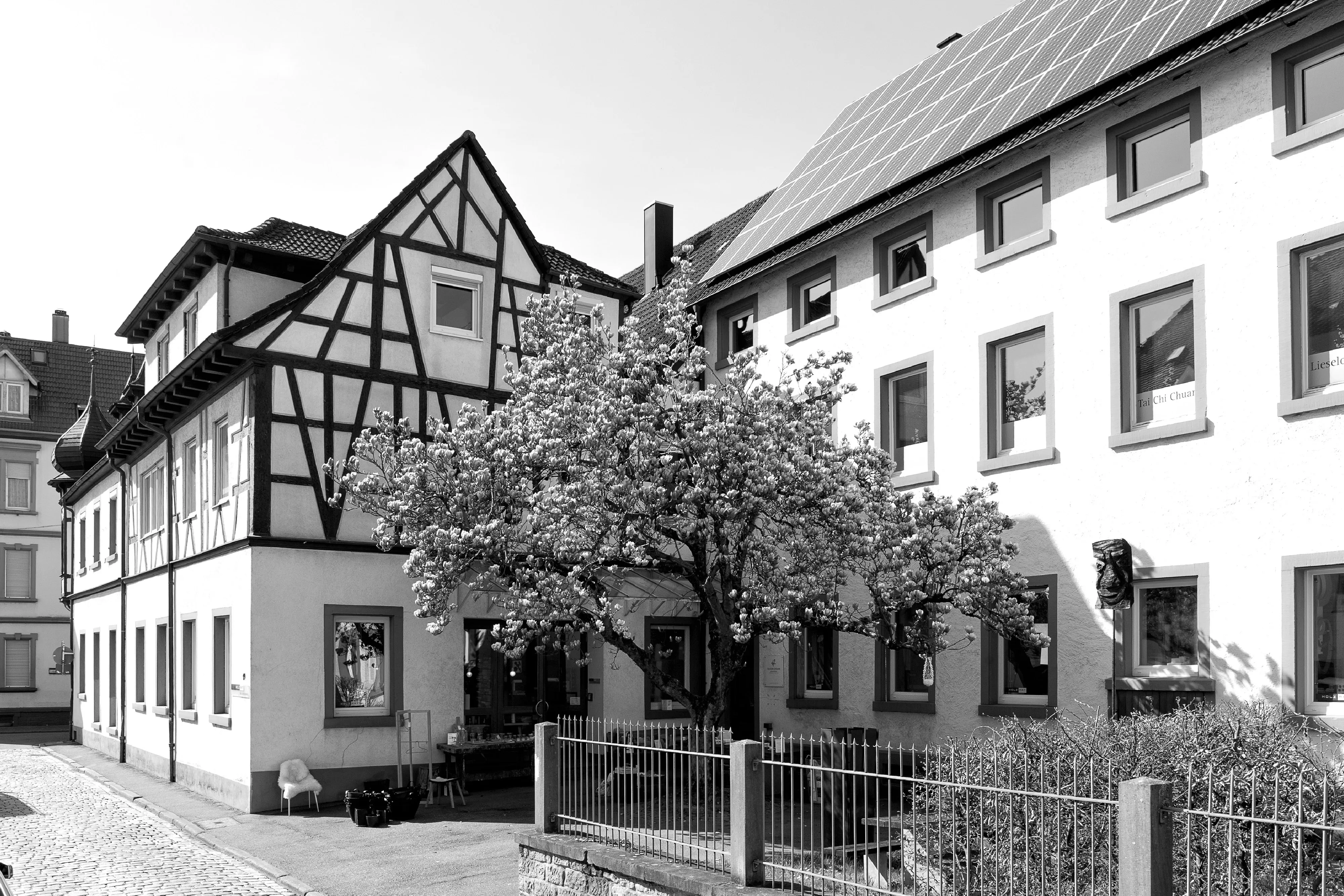 Schwarz-Weiß-Aufnahme des Firmengebäudes mit historischem Fachwerk, modernem Solardach und blühendem Magnolienbaum im Vordergrund.